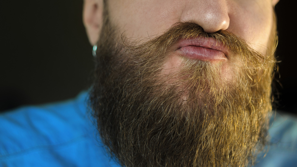 Attributes of the Appearance of a Hipster Male: Mustache and Beard Close Up. Portrait of Bearded Man who Played the Ape